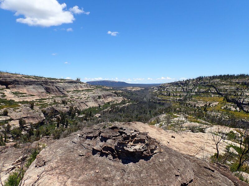 whereNSW.jpg