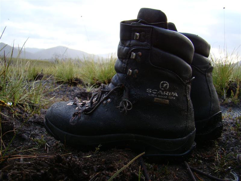 Scarpa.JPG
