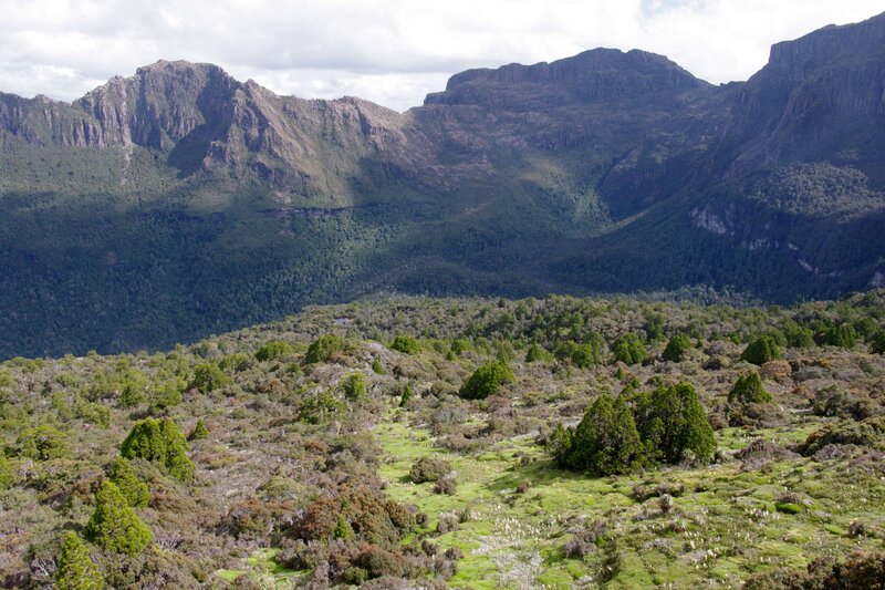 Tasman4051.jpg