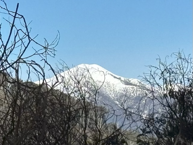 feathertop.jpg