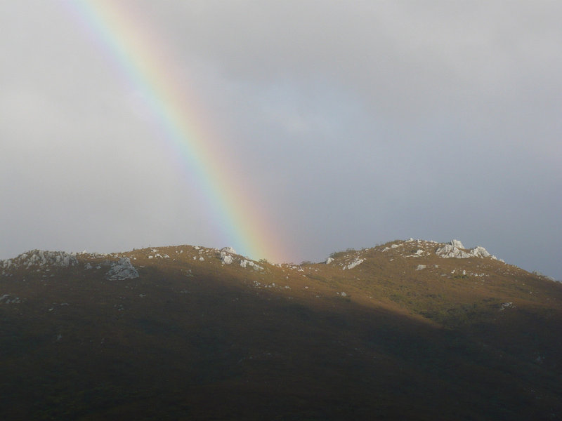 Rainbow.jpg