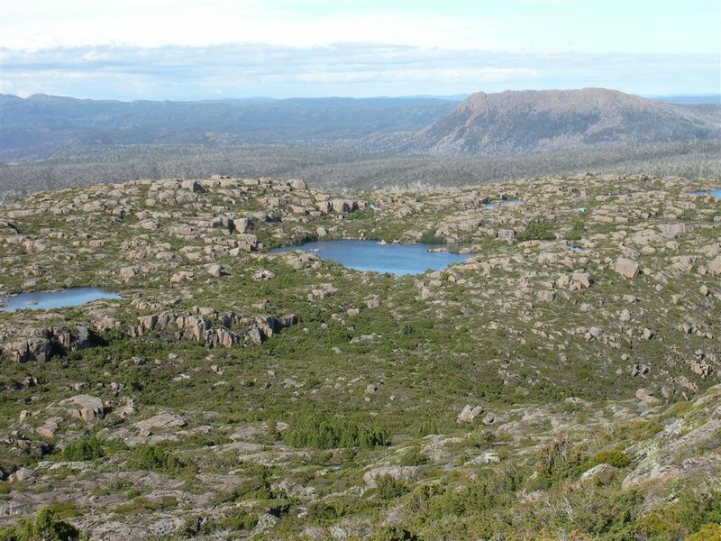 RIMG0500 (Large).JPG