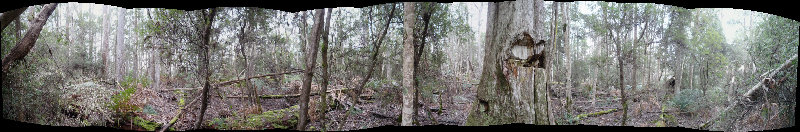 Panorama Small.JPG