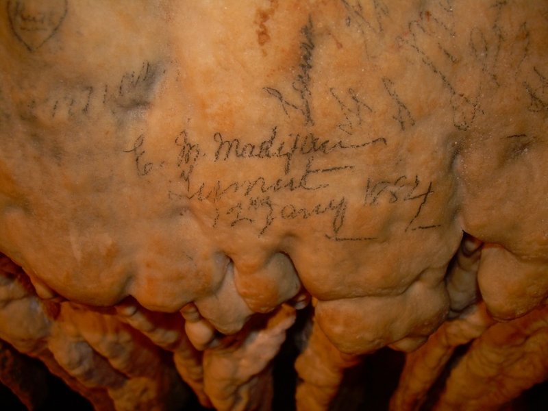 carey signature.JPG