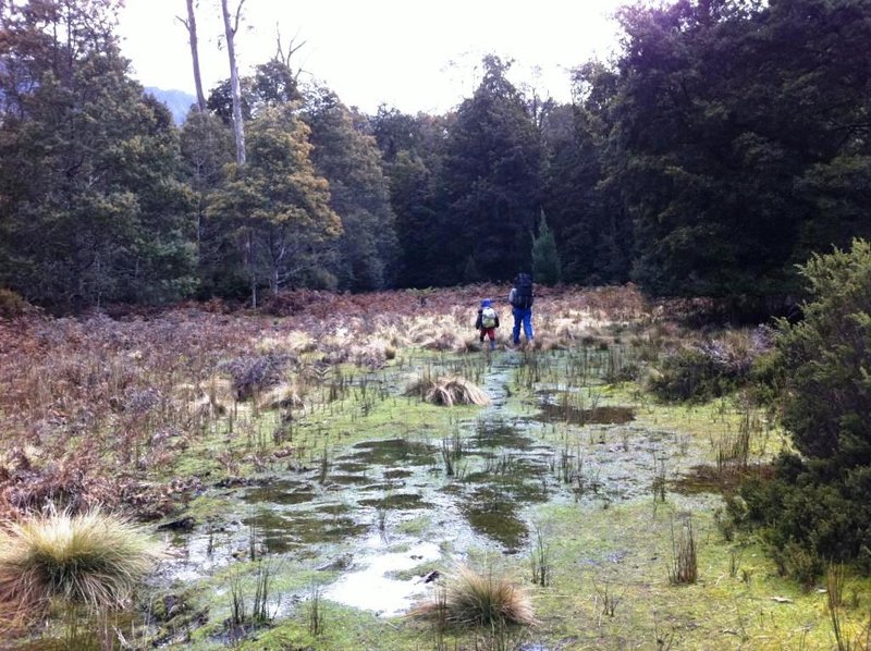 Lees Paddocks Walk (1).jpg