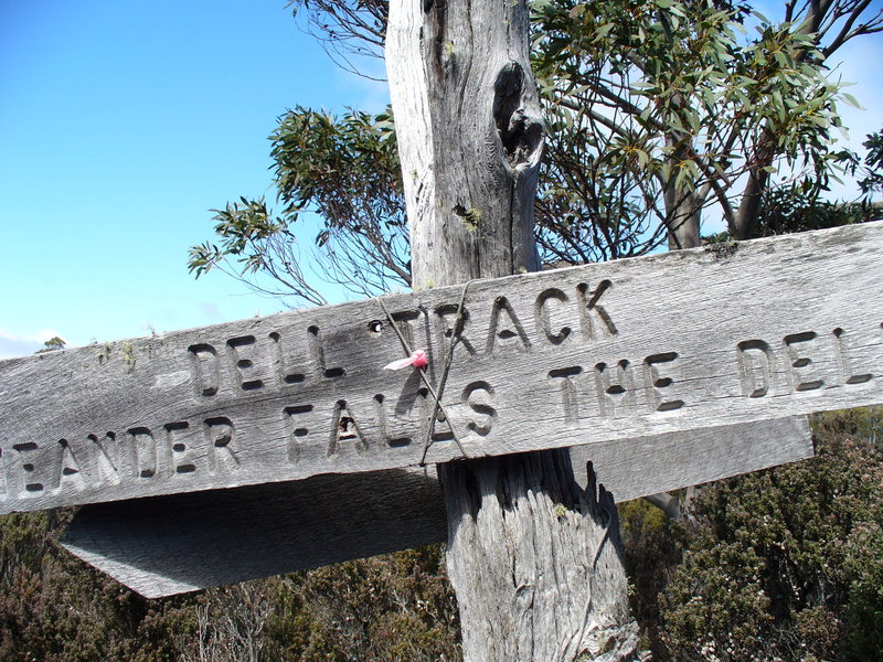 delltrack 003.jpg