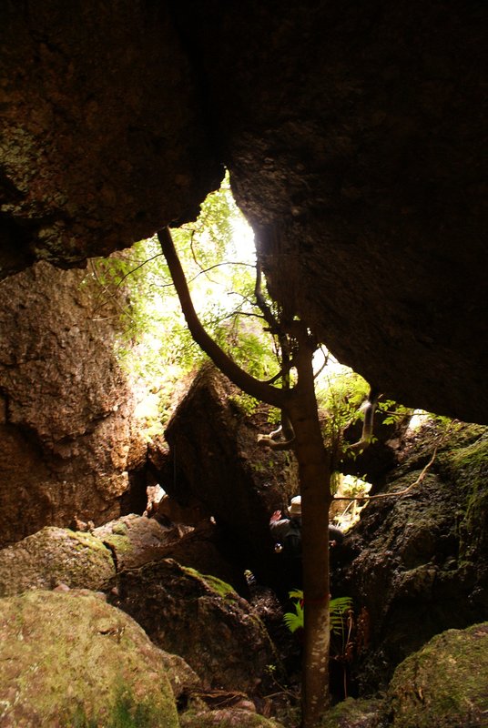 3 - Track going through cave.JPG