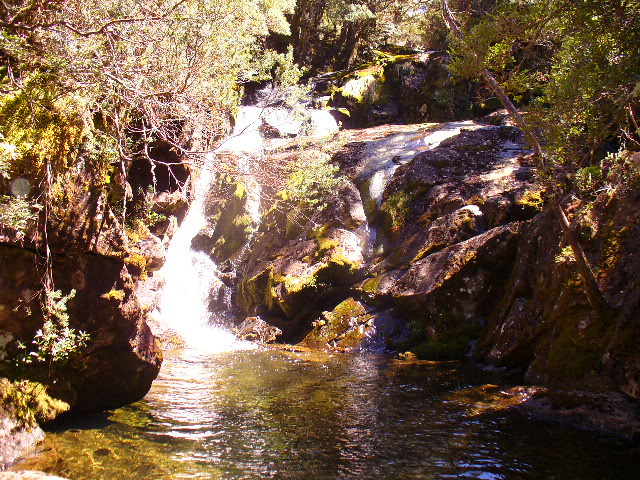 P1000553.JPG