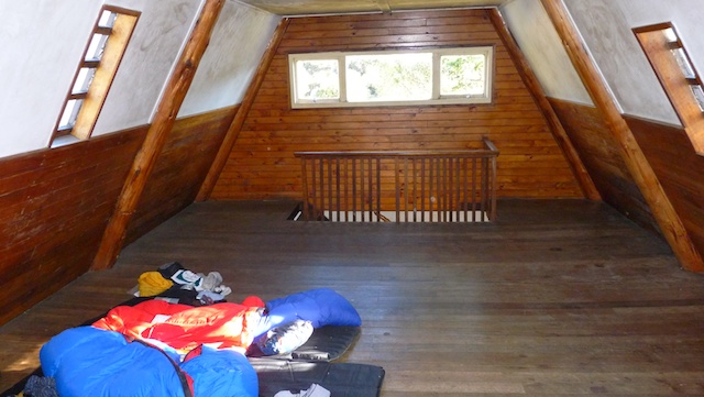 P1000346.jpg