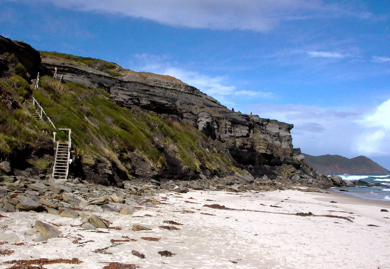 South Cape Bay access stairs.jpg