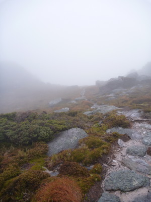 IMG_WA0003.JPG