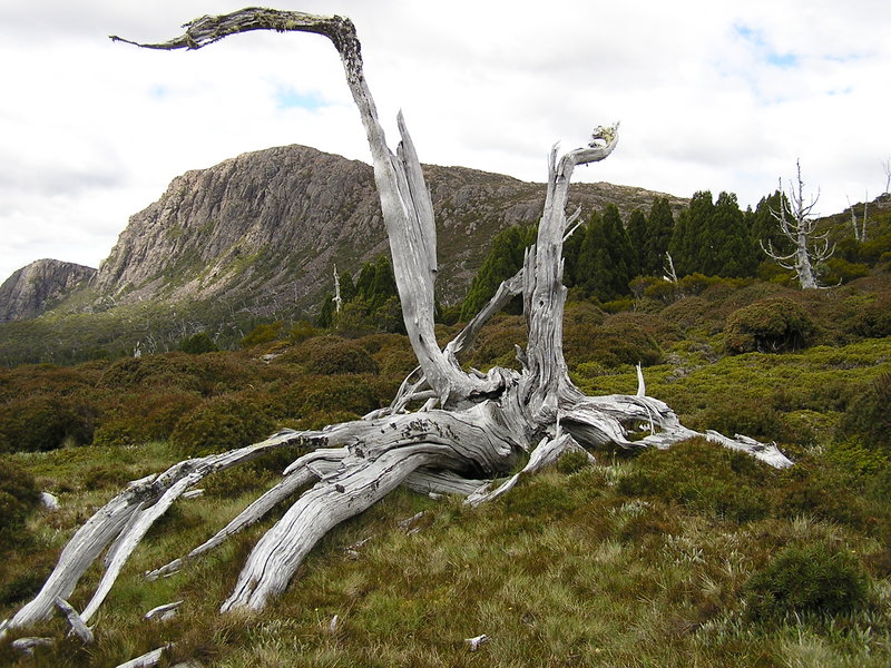 P2200120.JPG