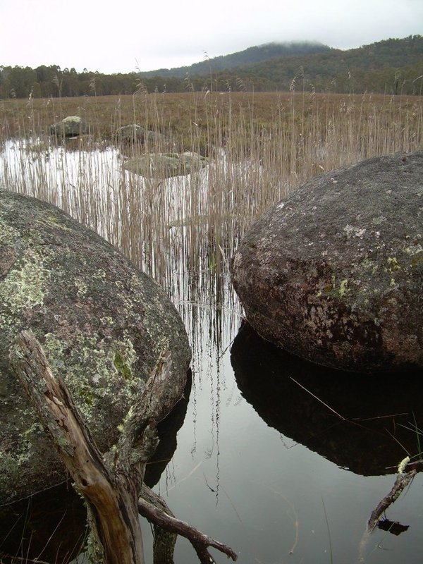 Water diversion catchment.JPG