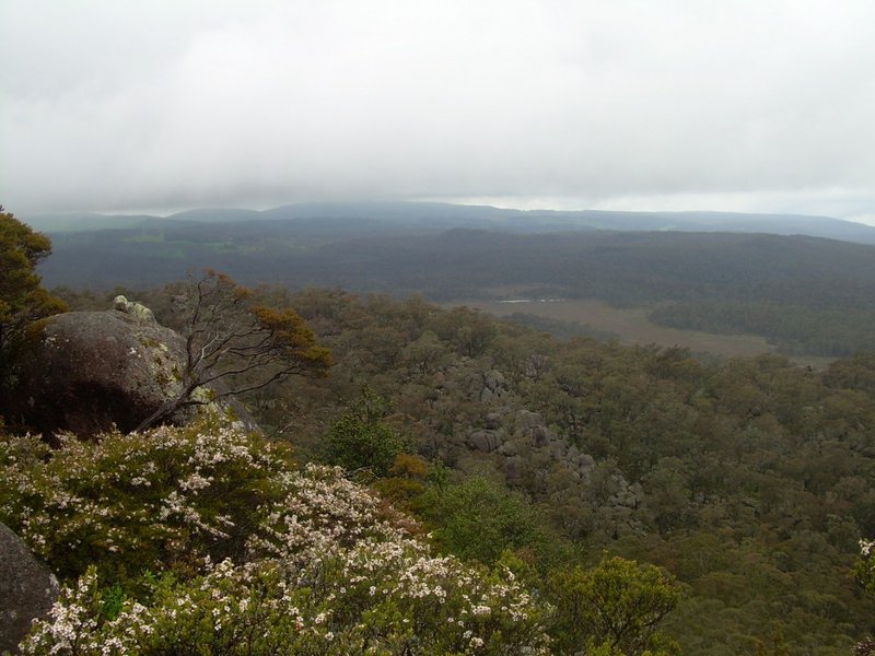 Top view East sml.JPG