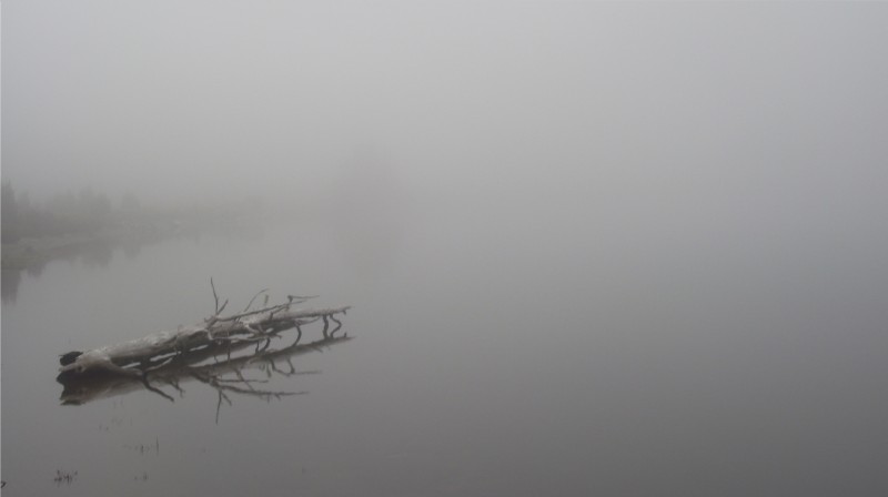 DSCF0497.JPG