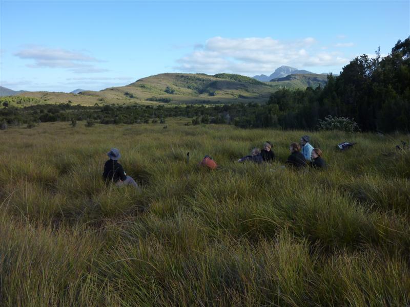 Looking back south towards Frenchman's on the eastern side of the scrubby bush..jpg