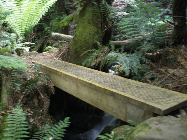 bridge.jpg