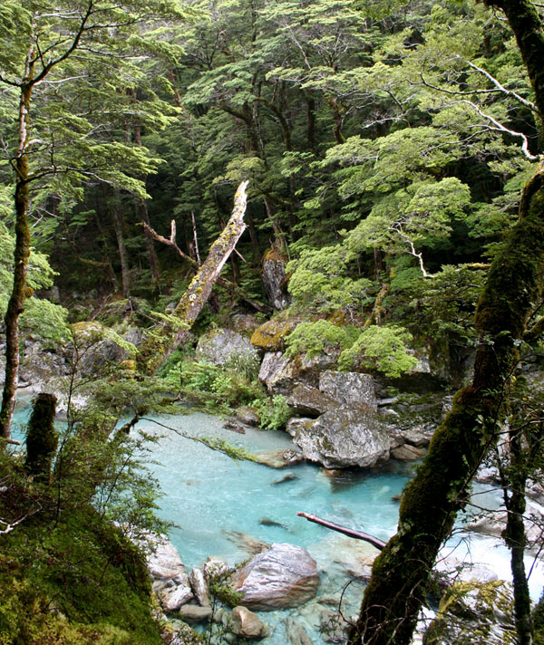 Routeburn day 1.jpg