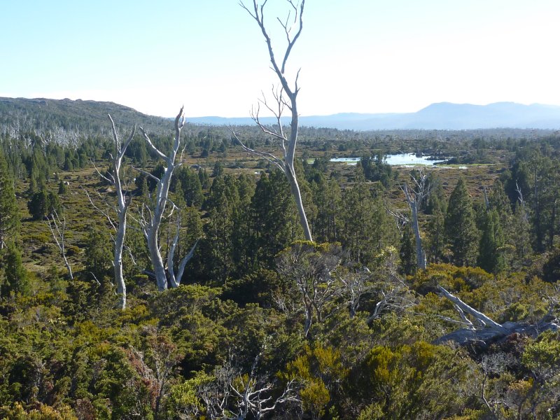 Tent Tarn.jpg