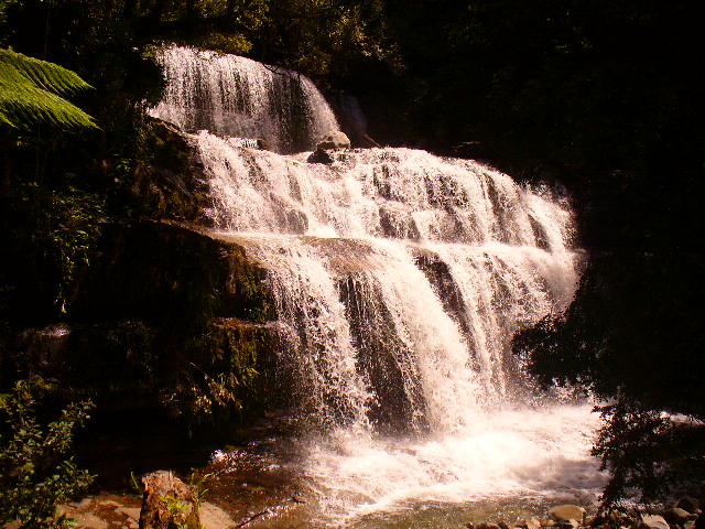 P1000642.JPG