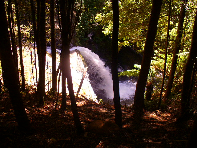 P1000644.JPG