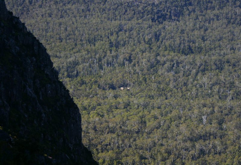 Windy Ridge.JPG