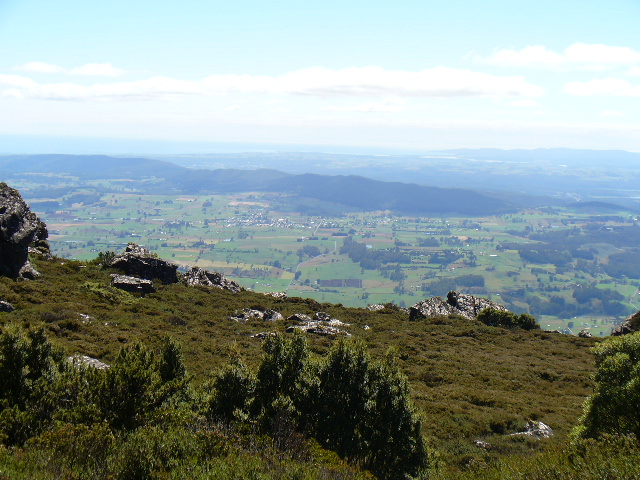 P1000681.JPG