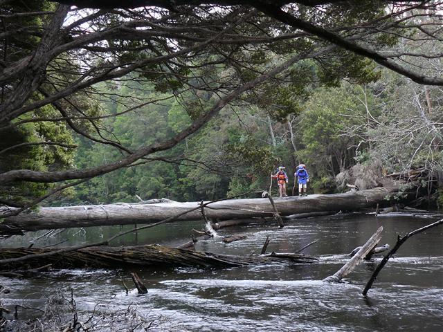 Emma & Wendy crossing (Small).JPG