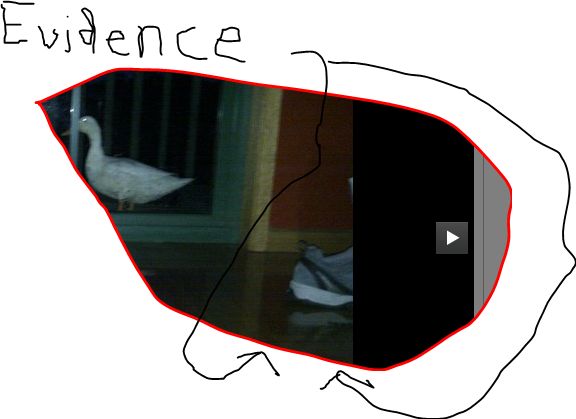 Capture.JPG