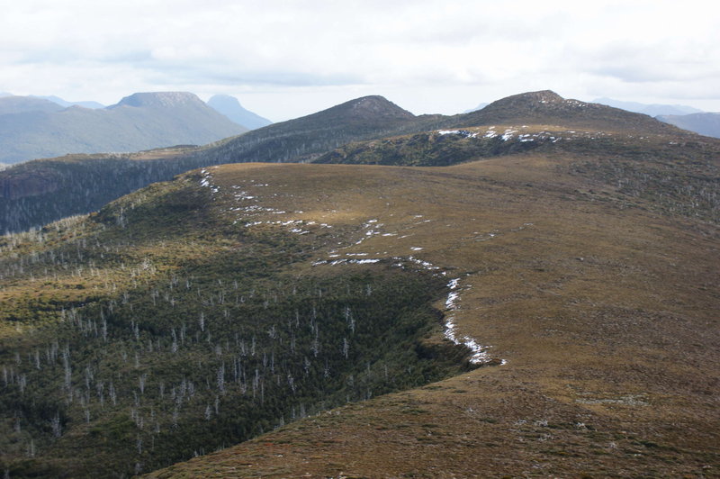 picton 1.jpg