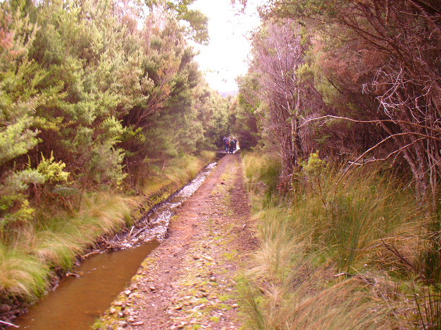 P1000726.JPG
