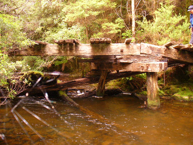 P1000731.JPG
