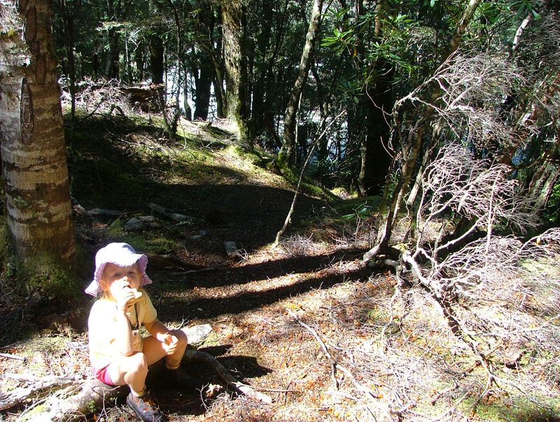 DSCF3941.jpg