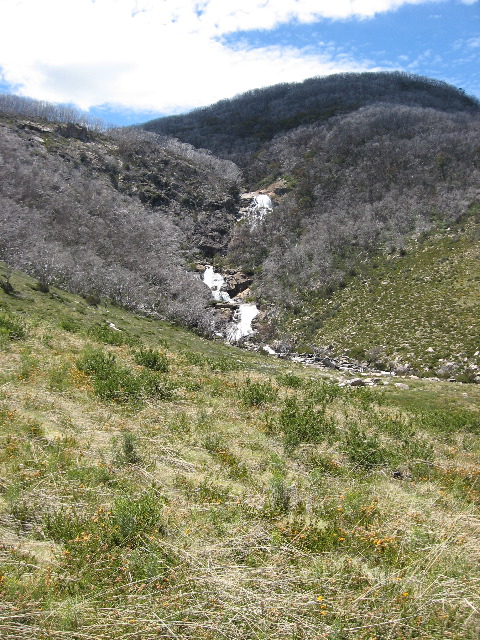 IMG_1789.jpg