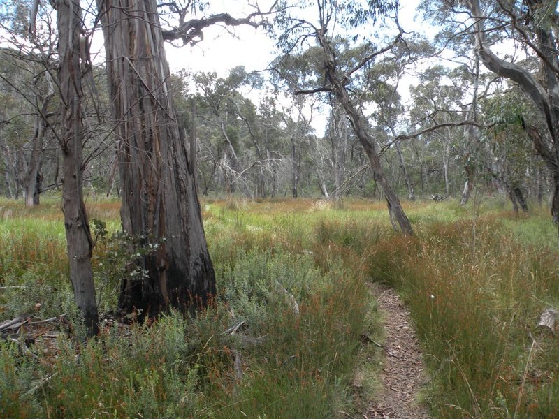 DSCN7569.JPG