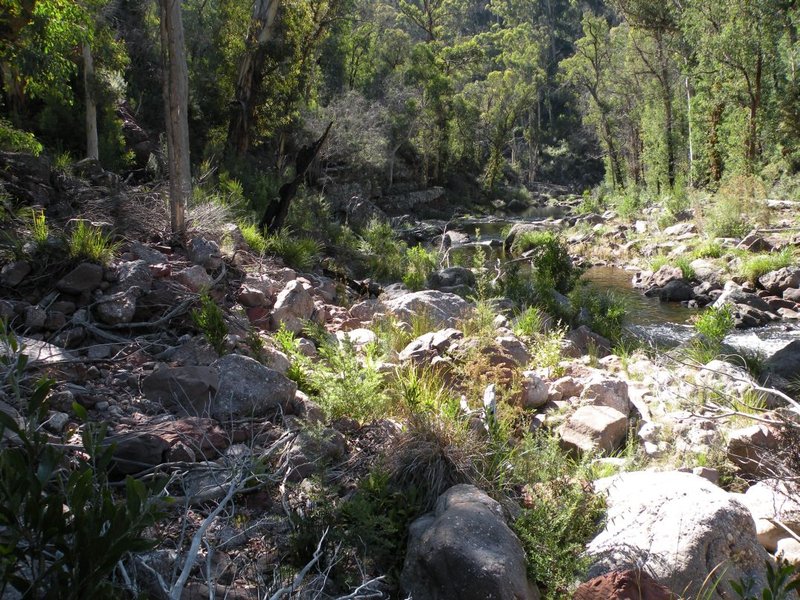 DSCN7581.JPG