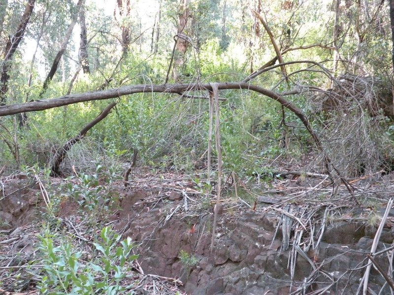 DSCN7587.JPG