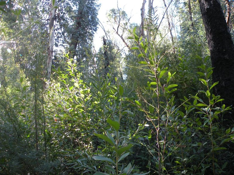 DSCN7588.JPG