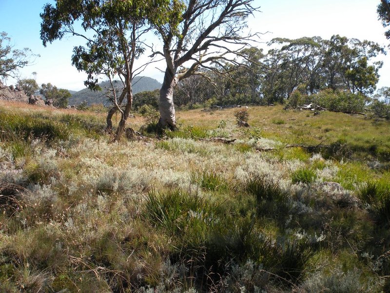 DSCN7607.JPG