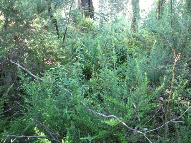 DSCN7629.JPG