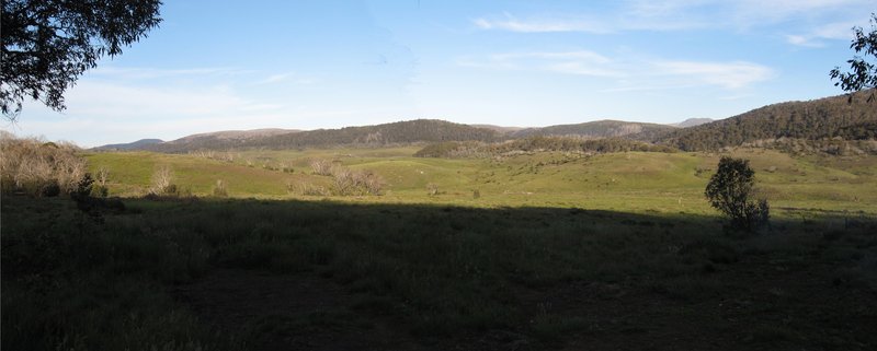 Game view2.jpg