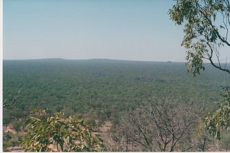 SCN_0004.jpg