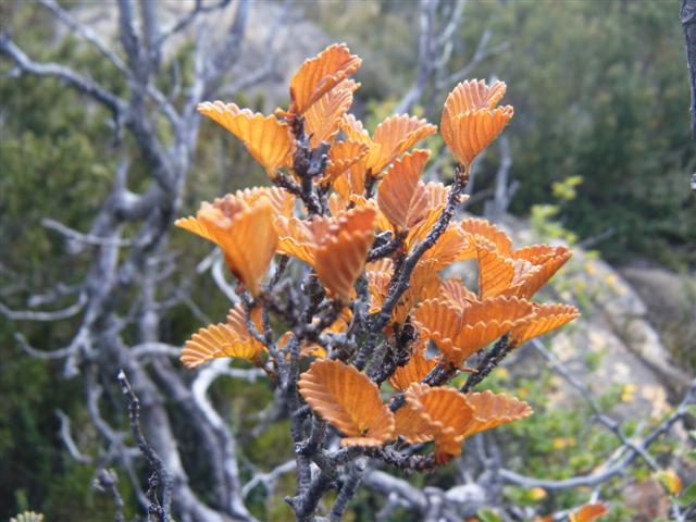 DSCF1480 (Small).JPG