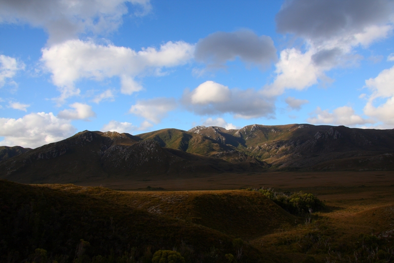 042 Wilderness south of Melaleuca 4-3-11.JPG