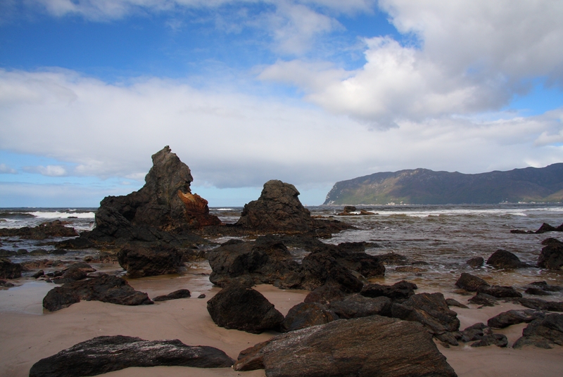 059 Looking across Cox Bight to New Harbour Range from the base of Black Hills 5-3-11.JPG