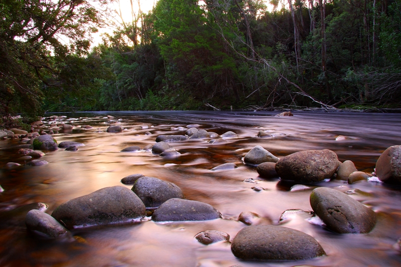 084 Louisa River 5-3-11.JPG