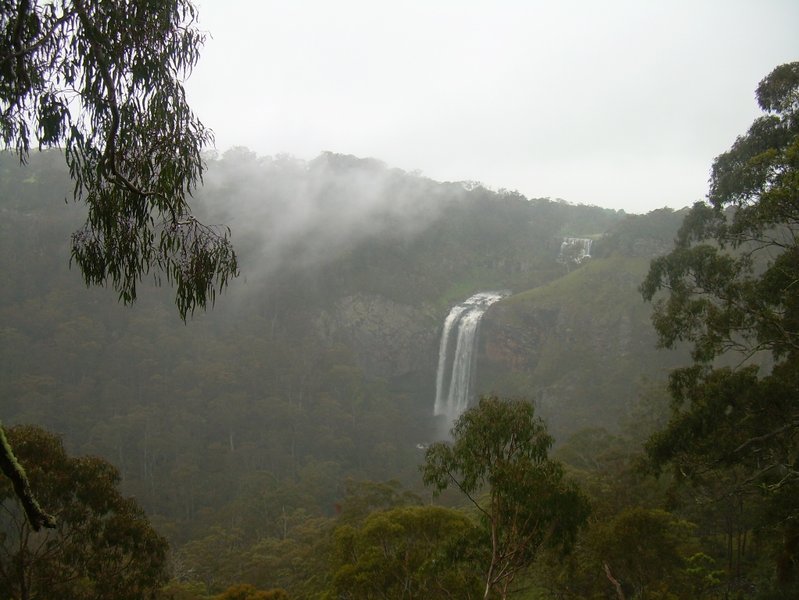 smlDSCN2278.JPG