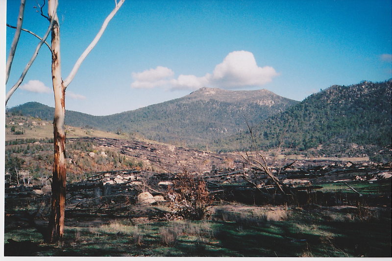 SCN_000101.jpg