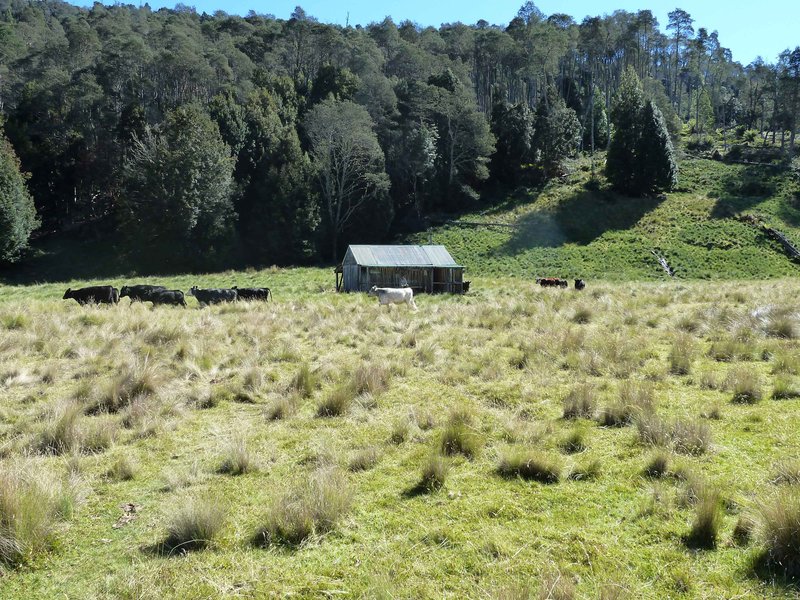 Lees-Hut.jpg