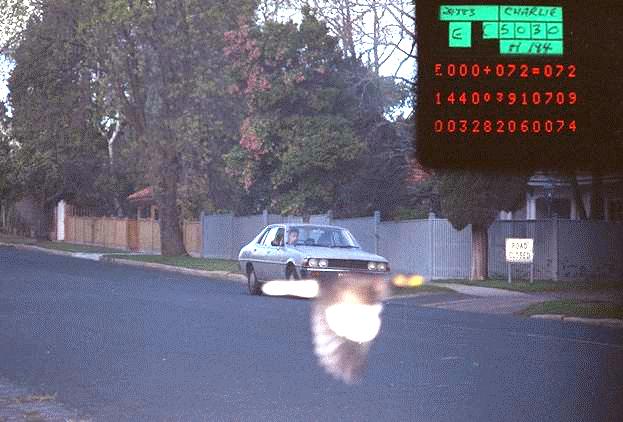speedcam_bird.jpg
